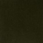 Apollo Boucle - Moss